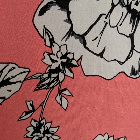 New Directions Ruffled Blouse (Size M) - Picture 2 of 3